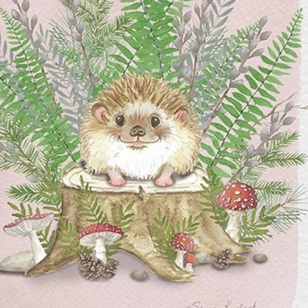 Hedgehog Mushroom Birthday Greeting Card, New, For Bundles Only 🍄🦔